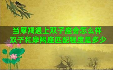 当摩羯遇上双子座会怎么样 双子和摩羯座匹配程度是多少